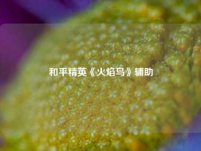和平精英《火焰鸟》辅助