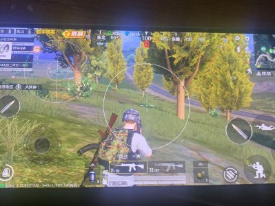 和平精英《向日葵》外挂免越狱全图乱杀中