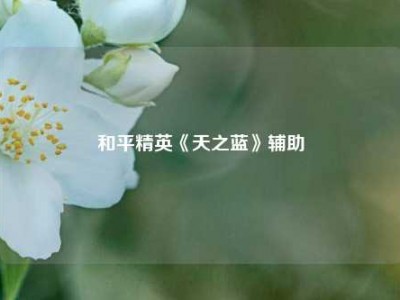 和平精英《天之蓝》辅助
