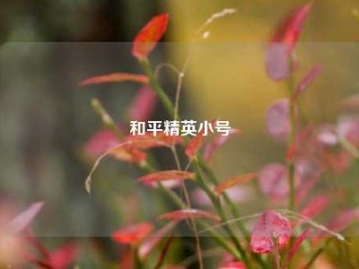 和平精英小号