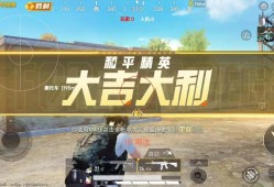 和平精英辅助《雪碧》容器直装稳定全网