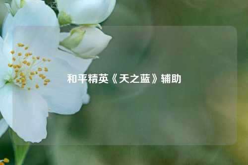 和平精英《天之蓝》辅助  第1张
